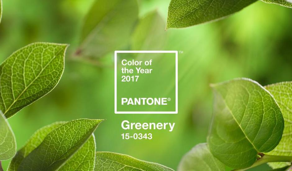 PANTONE-Color-of-the-Year-2017-Greenery-15-0343-leaves-2732x2048-1200x900